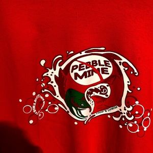 Fly Fishing T Shirt, 2XL, Port and Company